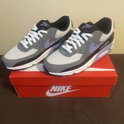 Nike Air max 90 Photon Dust Light Thistle Jordan