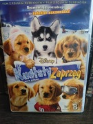 Kudłaty zaprzęg DVD 