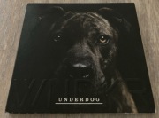 WNDKR - Underdog