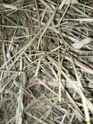 Wielka paka 9 kg siana , ekologiczne zbiór 2024