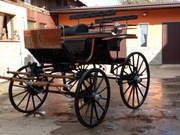 Bryczka sportowa Spider firmy "Aron"