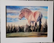 Inkografia Koń Przewalskiego 2 Grzegorz Gabryelski