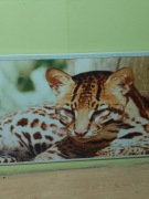 Sprzedam 2 grzejniki elektryczne na podczerwień 