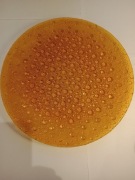 Talerz Patera Asteroid Ząbkowice HSG