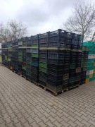 Skrzynki plastikowe transportowe 15 kg – 2000 szt. bardzo dobry stan