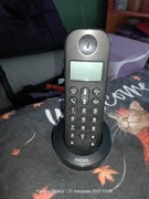 Telefon bezprzewodowy Philips D120