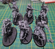 Adeptus Mechanicus Serberys Raiders