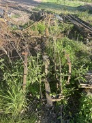 Zabytkowe maszyny rolnicze 