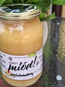 Miód wielokwiatowy 2 x1200  g - zbiór 2025