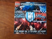 Vlepki Igloopol Dębica #6