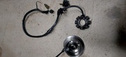 Stator crf 450 2005