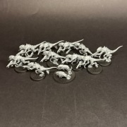 Wh40k - Tyranids Termagants (21)