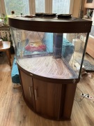 zestaw akwariowy Juwel Trigon 190 +szafka +filtr +oświetlenie +chłodzenie