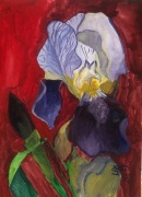 Irys/papier/tempera