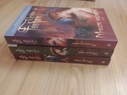 Christine Feehan Mroczny Książę, Mroczna magia, Mroczne wyzwanie 