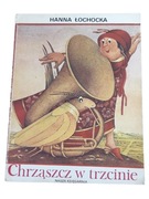 Chrząszcz w trzcinie – Hanna Łochocka, il. Elżbieta Gaudasińska 1988