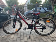 Kross Junior Hexagon Replica 24”