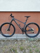 Rower Trek X-caliber 