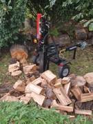 Łuparka 22T, silnik B&S