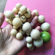 Korale  vintage  - 199 zł 