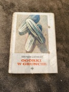 Ogórki w gruncie Marian Lityński