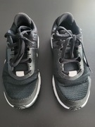 NIKE AIR MAX ALPHA  (CW3396-004) 