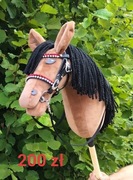 Hobby horse A4 rudzielec