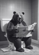 Obraz do łazienki Niedźwiedź w toalecie Humorystyczny prezent A4 A3 B3 A2