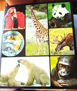 ENCYKLOPEDIA ZWIERZĄT OD A DO Z,używ.,stan-bd.