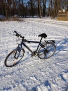 Sprzedam rower Giant używany 