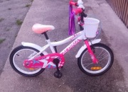 Rower Alpina Starter 