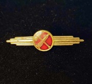 Odznaka kwalifikacyjna straży pożarnej NRD DDR NVA