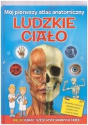Ludzkie ciało - mój pierwszy atlas anatomiczny
