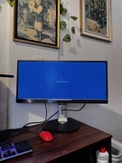 Monitor: Philips 2K_Ultrawide_IPS_298p4qjeb
