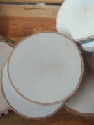 Plastry drewna brzozy krążki podkładki 14 cm szlif suche