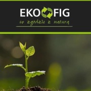 BDO. KPO, KEO, Decyzje środowiskowe, Emisja, KOBIZE