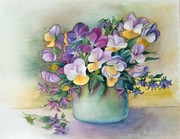 akwatela kwiaty bratki