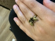 Regulowany pierścionek motyl by dziubeka złoto