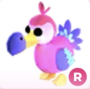 Dodo R - Adopt Me Roblox