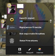 CS2 PRIME | OKAZJA |