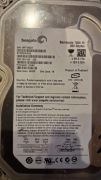 Dysk Seagate ST3250410AS 250Gb sprawny, testowany