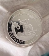 African Wildlife Słoń Somalijski 1 uncja Srebra