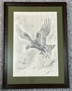 Śliczny rysunek 53x70 cm orzeł trzymający w szponach królika 1977