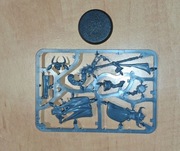 Warhammer AoS Hedonites Shardspeaker