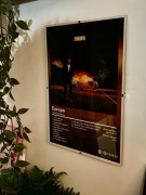 Plakat "Europa" Taco Hemingway