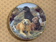 FRANKLIN MINT Talerz ozdobny porcelanowy psy 3 Labradory 