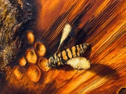 Obraz przestrzenny „Ignis Mellis”