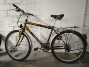 Rower Longway Winner dla Zwycięzców 