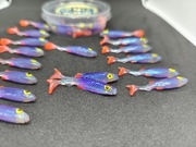 Płoć 38mm 5szt AB Fishing TikTok 