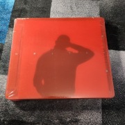 Sokół - Wojtek sokół 